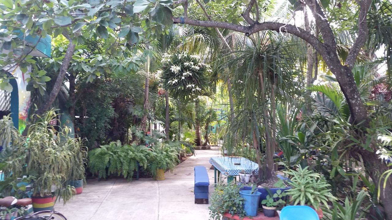 Rancho Tranquilo Vandrerhjem Tulum Eksteriør bilde