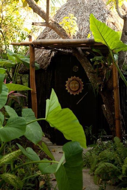Rancho Tranquilo Vandrerhjem Tulum Eksteriør bilde